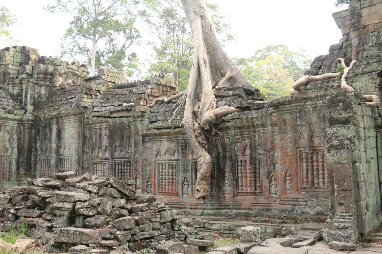 Vilada Angkor Boutique Siem Reap Exteriér fotografie