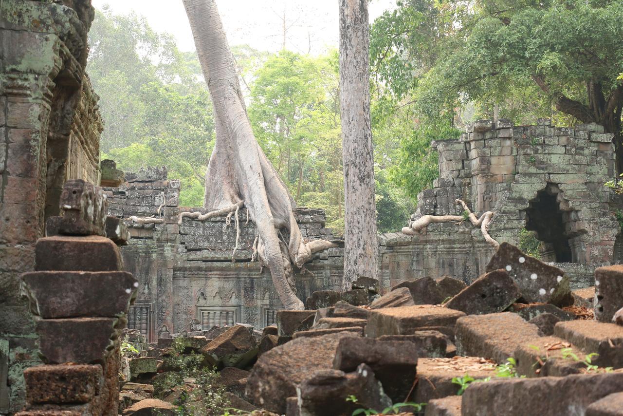 Vilada Angkor Boutique Siem Reap Exteriér fotografie